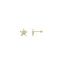 BROQUEL ESTRELLA FIGURA 10K - KDGBQ.495