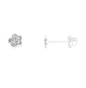 BROQUEL FLOR CIRCONIA .925 - KDSIBQ.182p