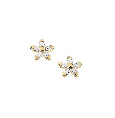 [KDGBQ.509] BROQUEL FLOR ESTRELLA 10K - KDGBQ.509