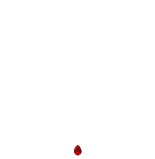 [KDSIGT.638e] GARGANTILLA GOTA ROJA 45CM .925 - KDSIGT.638e